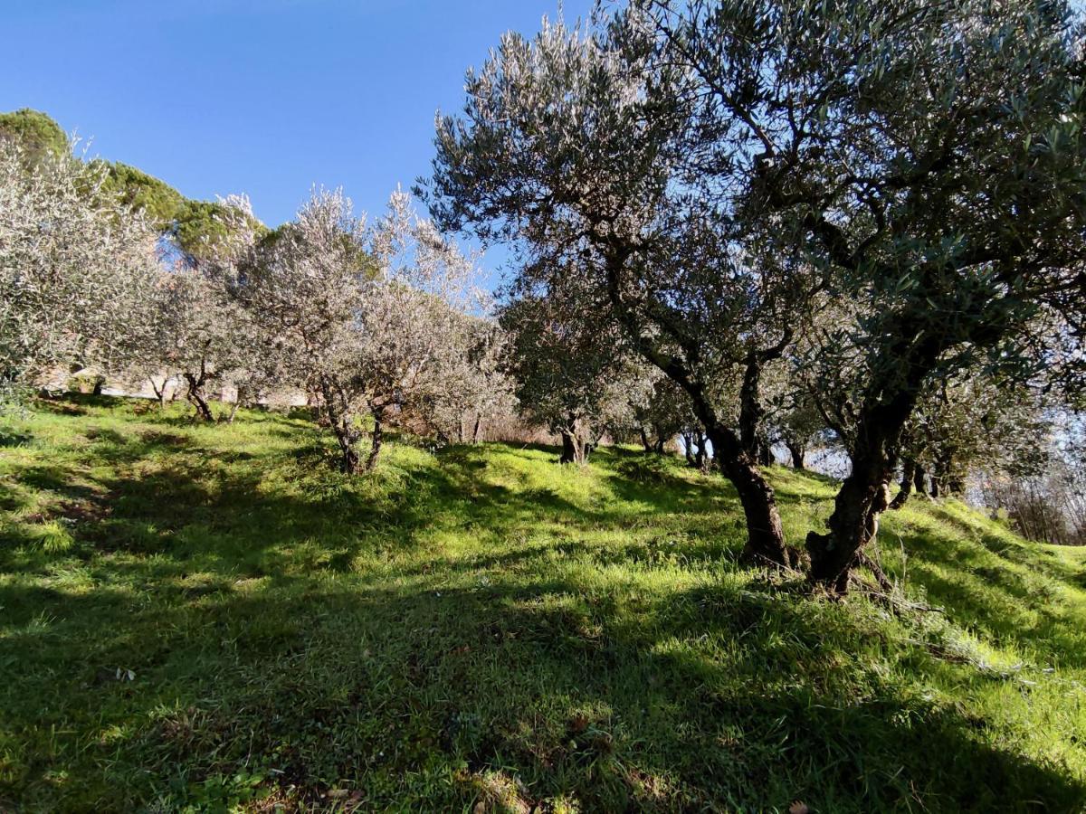 Fonte Degna - Alloggio E Sito Storico Citerna Exteriér fotografie